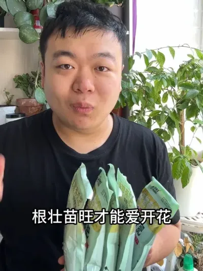 �������÷Ϊɶ��ѿ��Ҷ��ô������׳������Ҫ���� #���� #����С֪ʶ #���� #������ֲ #����