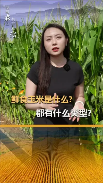 ��ʳ������ʲô������ʲô������#��ũ #������ũ�� #����ݪֲ #����ݪֲ���� #��������