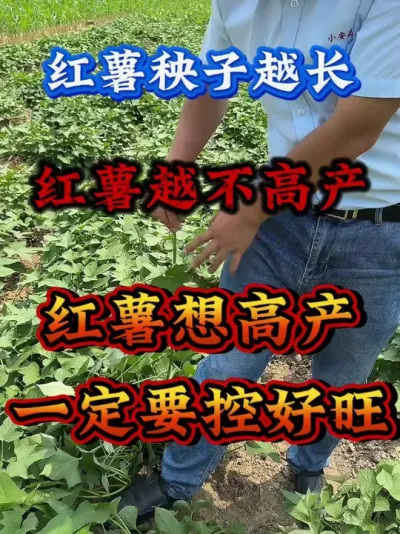 ��������Խ��������Խ���߲�#����ݪֲ  #�����߲�ݪֲ  #�����߲�  #����ݪֲ֪ʶ