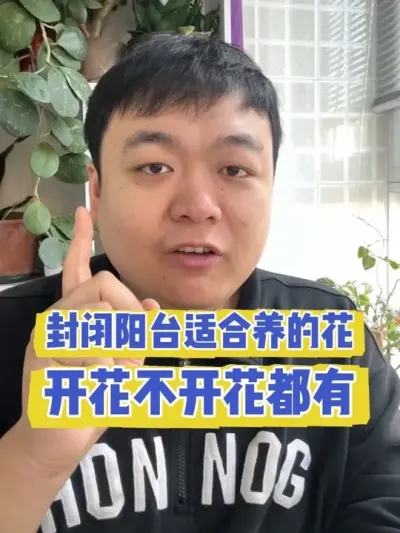 �ر���̨�ʺ���ʲô�����Ż��Ĳ��Ż��Ķ����� #���� #����С֪ʶ #���� #������ֲ #����