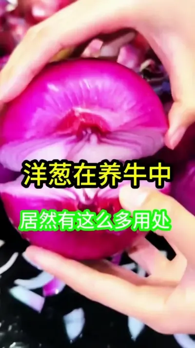 оȻţôô#ţ#ţ #ţС #ũţ