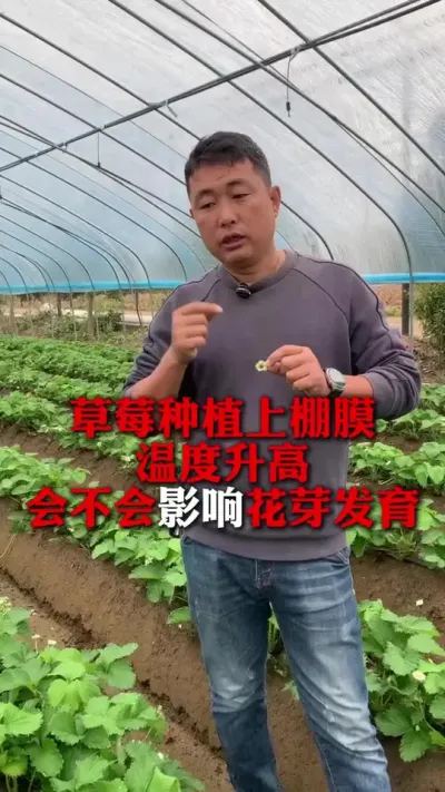 Ĥ᲻Ӱ컨ѿ#ݮݪֲ #ݮ #ݮݪֲ #ũҵ֪ʶũ #ũ