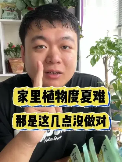 ����ֲ��������������⼸��û������ #���� #����С֪ʶ #���� #������ֲ #����