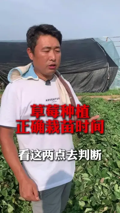 ��ݮ׼ȷ����ʱ��#��ݮݪֲ #��ݮ���� #��ݮݪֲ���� #����ũҵ֪ʶ��ũ���������� #��ũ������