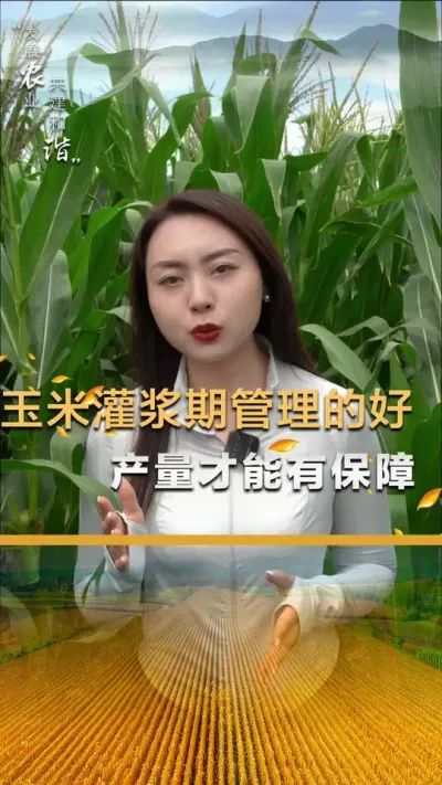 ���׹ཬ�ڹ����ĺ��������Ż��а���#��ũ #����ݪֲ #����ݪֲ���� #�������� #������ũ��