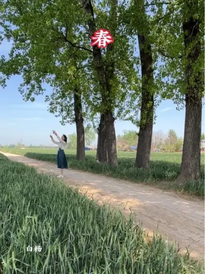 ͬ��������������ʱ������������һ���������䷢��һ��С·������ת�����м����˳����������ֻ�ж������޴����� #�����ﶬ #���Ӱ�� #�����ԭ���� #�ҵ���������