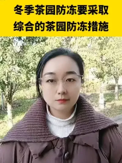 ������԰����Ҫ�����ۺϵĲ�԰��������#����