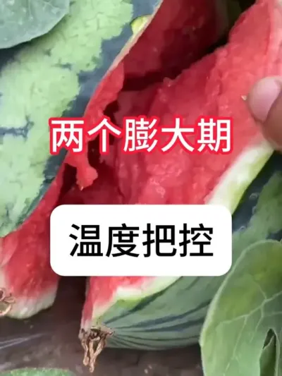 ��������ڹ������� #����ݪֲ#ũ���ƹ�#��������#��ũ#������ũ