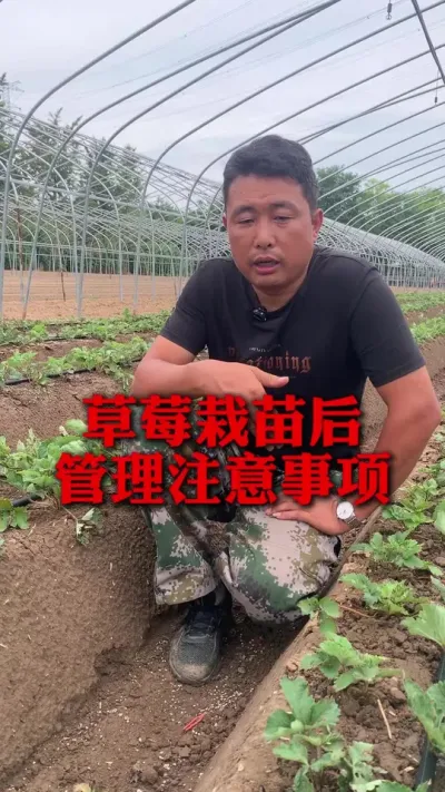 ݮע#ݮݪֲ #ݮ #ݮݪֲ #ũҵ֪ʶũ #ũ