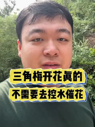 һ�����ˮ�߻������治��Ҫ�� #���� #����С֪ʶ #���� #������ֲ #����÷