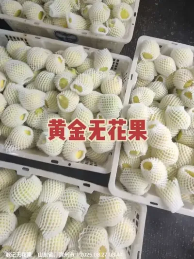 ������޻��������Ժ���ɫ���ųƻƽ��޻������������ժ�޻������ۻ���#�����޻���ݪֲרҵ������ #�޻�������