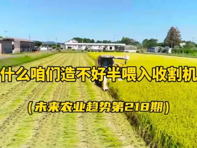 ΪʲôǾǷðιոڰι붼ձ #2025йũչ ֳձڰιˮոǷϸڣ#ˮո #ձũ #ιո #ѧũ