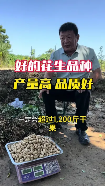 �õĻ���Ʒ����������Ʒ�ʺ�#����ݪֲ #����ݪֲ�������� #�����߲� #�������� #ë��������߲�����