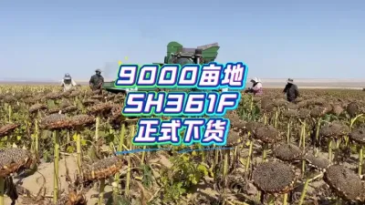 9888��˹ά��˹(�ɷ�)���޹�˾-�ٷ���վ