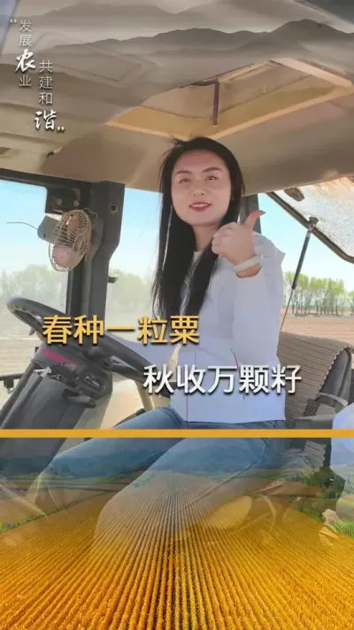 春种一粒粟，秋收万颗籽#玉米种植 #玉米种子 #玉米种植技术 #三农 #抖音新农人