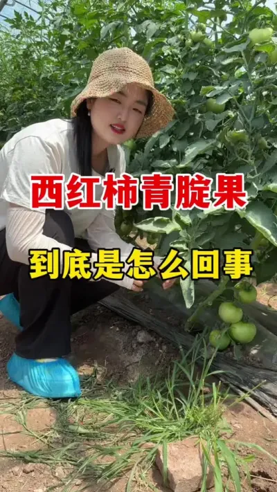 ���������������������ô������ #������ݪֲ #������ݪֲ����