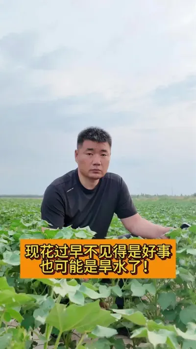 �ֻ�̫�粻�����Ǻ��£�#2025��ũ������  #ݪֲС���� #֧����ũ������ũ���� #��ũ������������ #��ũݪֲ