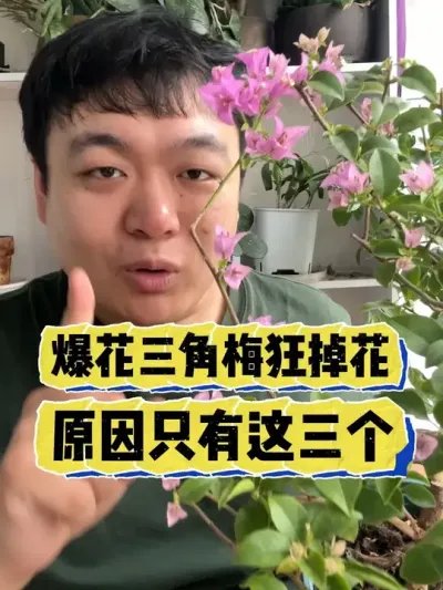 ��������÷���������Ե��ԭ�ɻ����������� #���� #����С֪ʶ #���� #������ֲ #����