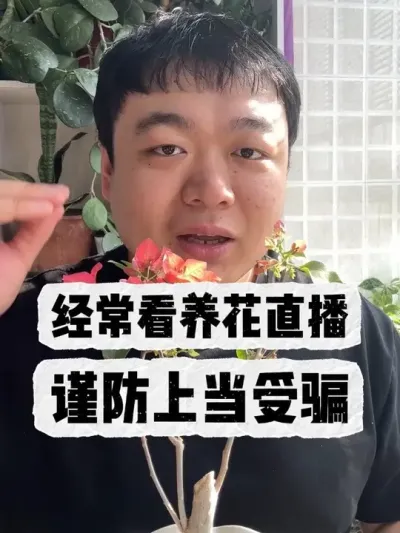 ����������ֱ����Ƶ�Ļ�����һ��Ҫ��ϸ���ֲŻ��������� #����С֪ʶ #���� #���� #������ֲ #����