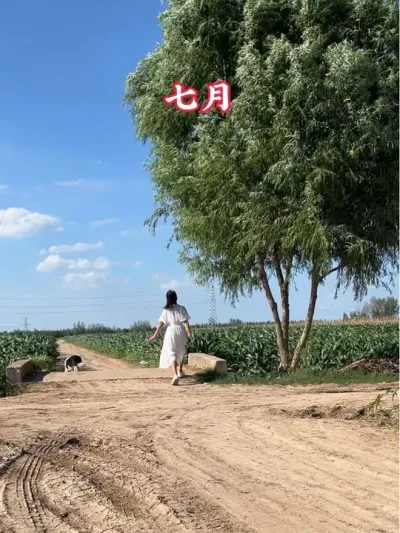 ��������һ����������20��������ڴ������ϼ�����Ұ��Ĵ����ﶬ������ʮ�ٴ���ת����������ѭ���������������������˳����������ֻ�ж������޴����ﶬ#�����ﶬ#�ҵ���������#���Ӱ�� #�����ԭ����