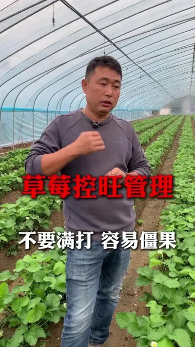 ݮ#ݮݪֲ #ݮ #ݮݪֲ #ũҵ֪ʶũ #ũ