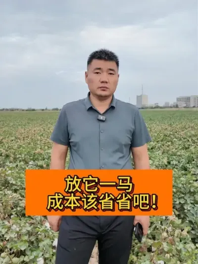 ����һ�� ��Ǯ��ʡʡ�� #��ũ������2025#ݪֲС���� #ũҵݪֲ #��ũݪֲ #�½��޻�