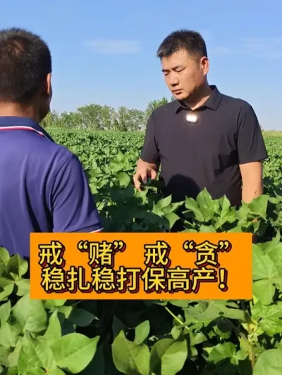 �����ȴ򱣸߲� #��ũ������2025#ݪֲС���� #��ũݪֲ #������ũ֧����ũ #֧����ũ������ũ����