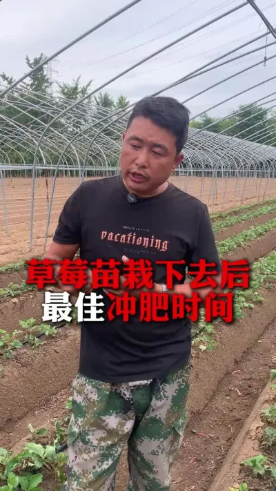 ѳʱ#ݮݪֲ #ݮ #ݮݪֲ #ũҵ֪ʶũ #ũ