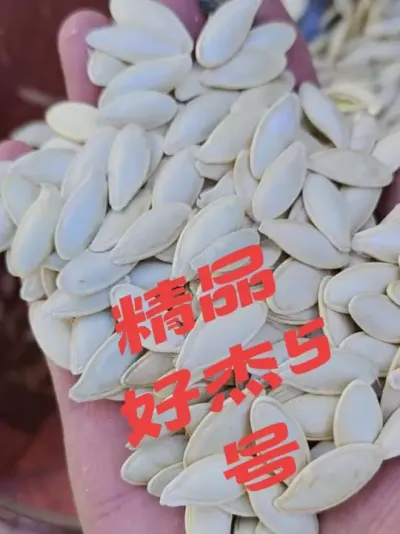 ��Ʒ����׺ý�5���������Ӵ��ϰ�ǰ���ɹ�#�����