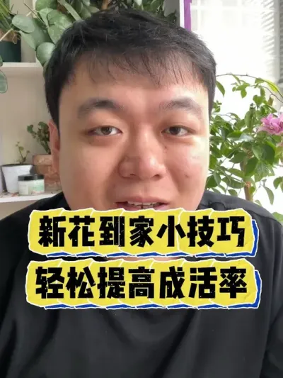 �»��ּ�С������������߳ɻ����� #���� #����С֪ʶ #���� #������ֲ #����