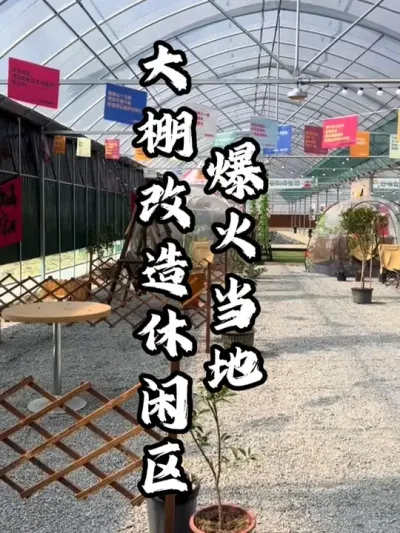 将大棚改造成休闲区，吸引众多游客体验#游云文旅 #规划设计 #乡村振兴 #周二课堂