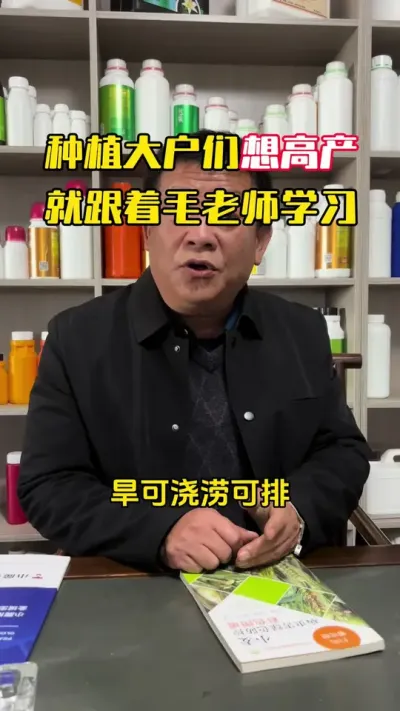 ݪֲ������߲���������ë����ѧϰ##С��#С��ݪֲ#ݪֲ�� #С��߲�#ë��������߲�����