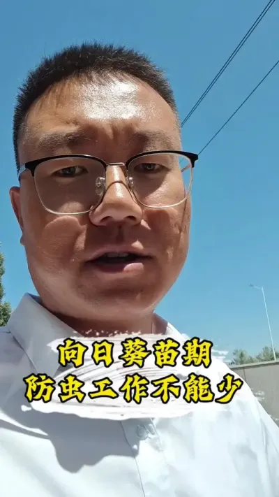 ˭˵ǰ�ڷ������鲻��Ҫ#�����