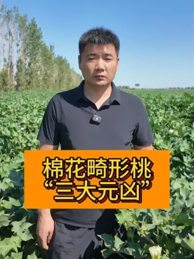 �޻�����������Ԫ�� #��ũ������2025#ݪֲС���� #������ũ֧����ũ #��ũݪֲ #�½��޻�