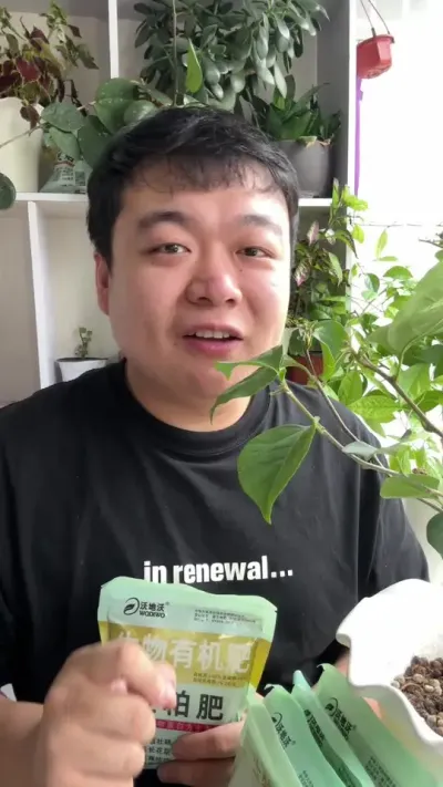 ����÷���������������ĺ�������Ż��������� #���� #����С֪ʶ #���� #������ֲ #����÷