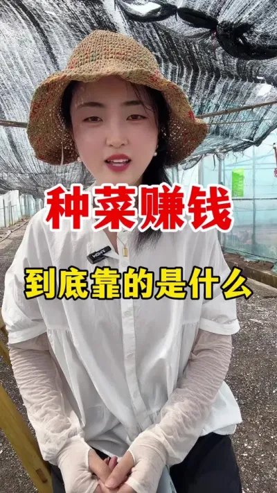 ֲҪ׬Ǯʲô #ݪֲ #ݪֲ