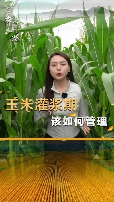 ���׹ཬ�ڸ���������#��ũ #����ݪֲ #����ݪֲ���� #�������� #������ũ��