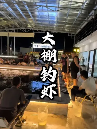 �����Ϻ#��������  #�������  #�ܶ�����  #ũׯ����