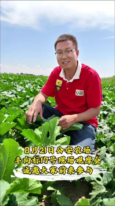 �����17��&mdash;&mdash;��һ���㸲�Ե�Ʒ��#�����