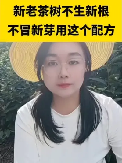 ���ϲ��������¸�����ð��ѿ����������䷽#����