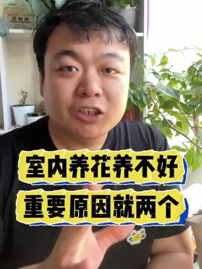 �����ܲ������û��������������Ҫ�� #���� #����С֪ʶ #���� #������ֲ #����