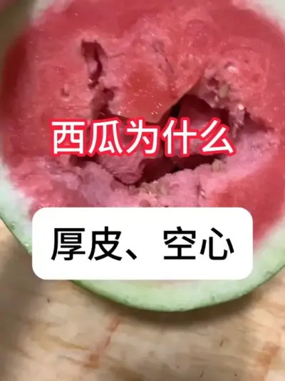 ��ô��ֹ���Ϻ�Ƥ������ #����ݪֲ #��ũ #ݪֲС���� #ũҵݪֲ #������ũ