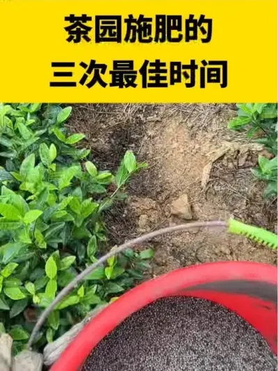 ��԰ʩ�ʵ��������ʱ��#����