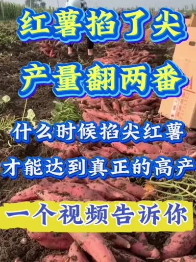 �������˼�������������#����ݪֲ  #�����߲�ݪֲ  #�����߲�  #����ݪֲ֪ʶ