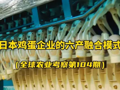 �ձ����������ҵ������������������������������ں�ģʽ��������������Ч�澪�ˣ� ��һ����ֳ�������������������ӹ����������������������������񣬣�����������ͬʱ�����ܱߵ�ũ��Эͬ����...#���� #�����ӹ� #һ�������ں� #cocofarm