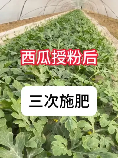 ڷۺԽˮʩ ڷۺʩ#ũ #ũ # #ʩ #ڷ