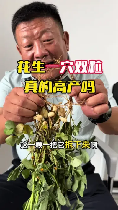 ��������һѨ˫����������ܸ߲��� #����ݪֲ #�������� #�����߲� #�����߲�ݪֲ #ë��������߲�����