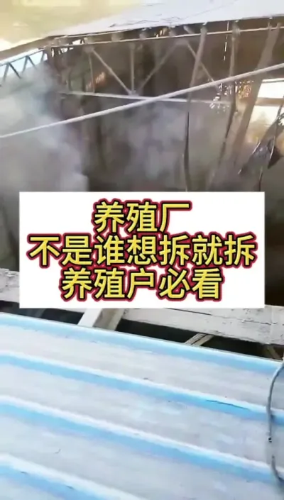 ��ֳ������˭�����ܲ������ֳ����ע����#��ֳ�� #��ũ��ֳ #ţ����ֳ