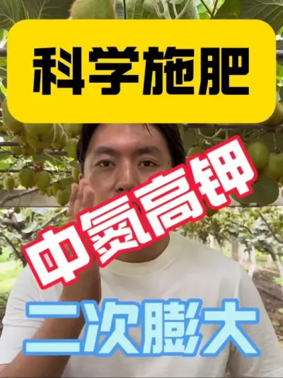 �ط���Ƿ�������ӳ������������ջ��?? ʲô�ǿ�ѧʩ�������׼���Ⱦ�����ʲô��������ʶ����⨺������������׶���ѡ��׼ȷʩ���䷽����������������ʱ����������������껨ѿԽ������??#⨺���ݪֲ #������