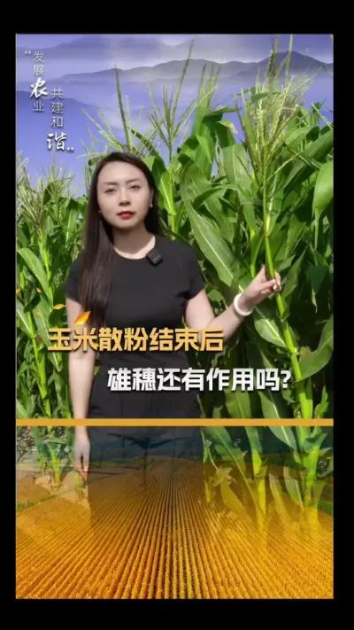 ����ɢ�ۿ��º�������������������#��ũ #����ݪֲ #����ݪֲ���� #�������� #������ũ��